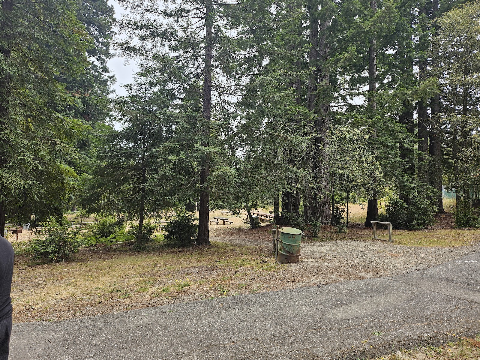 Bower Park