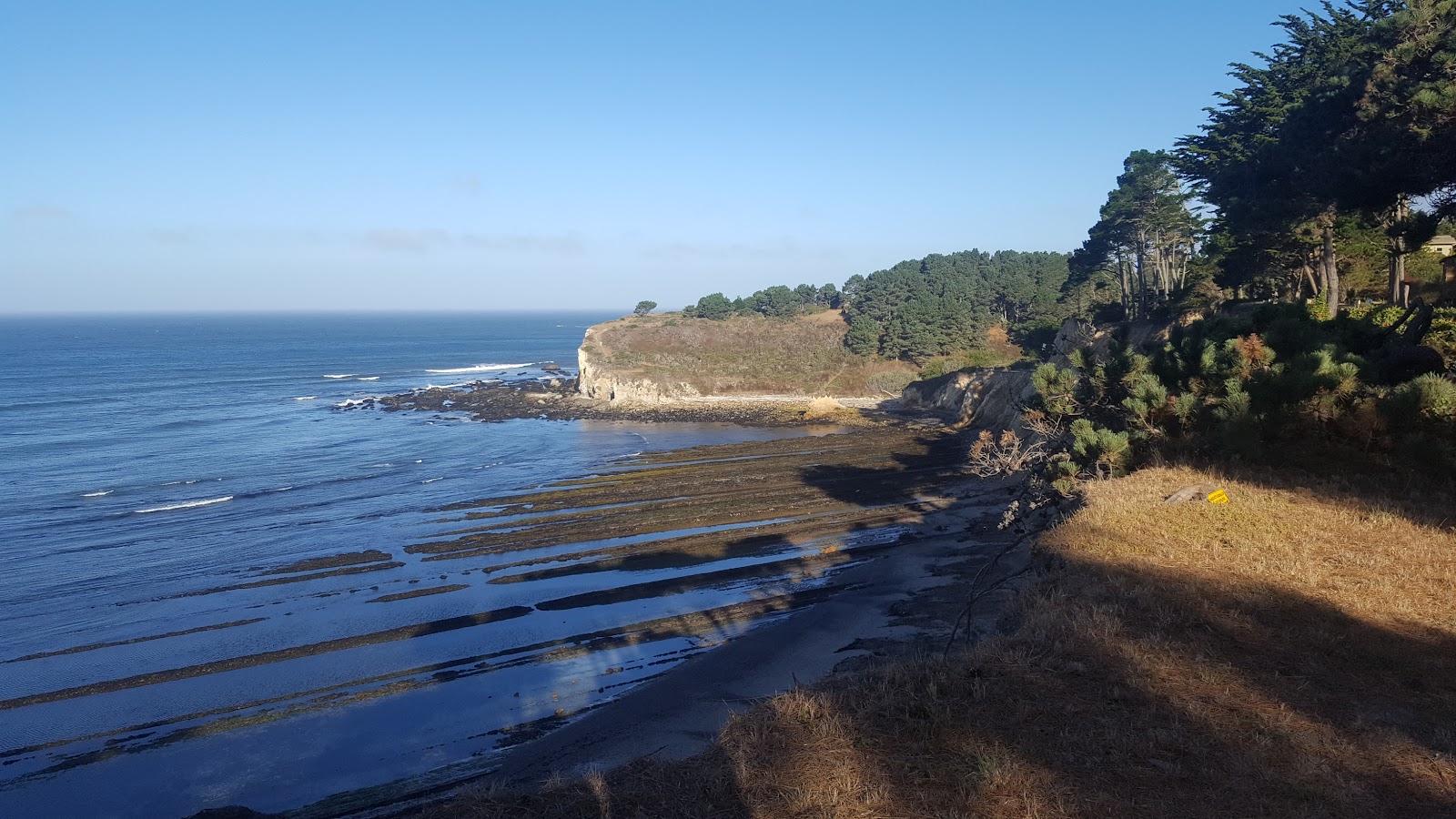 Bowling Ball Beach