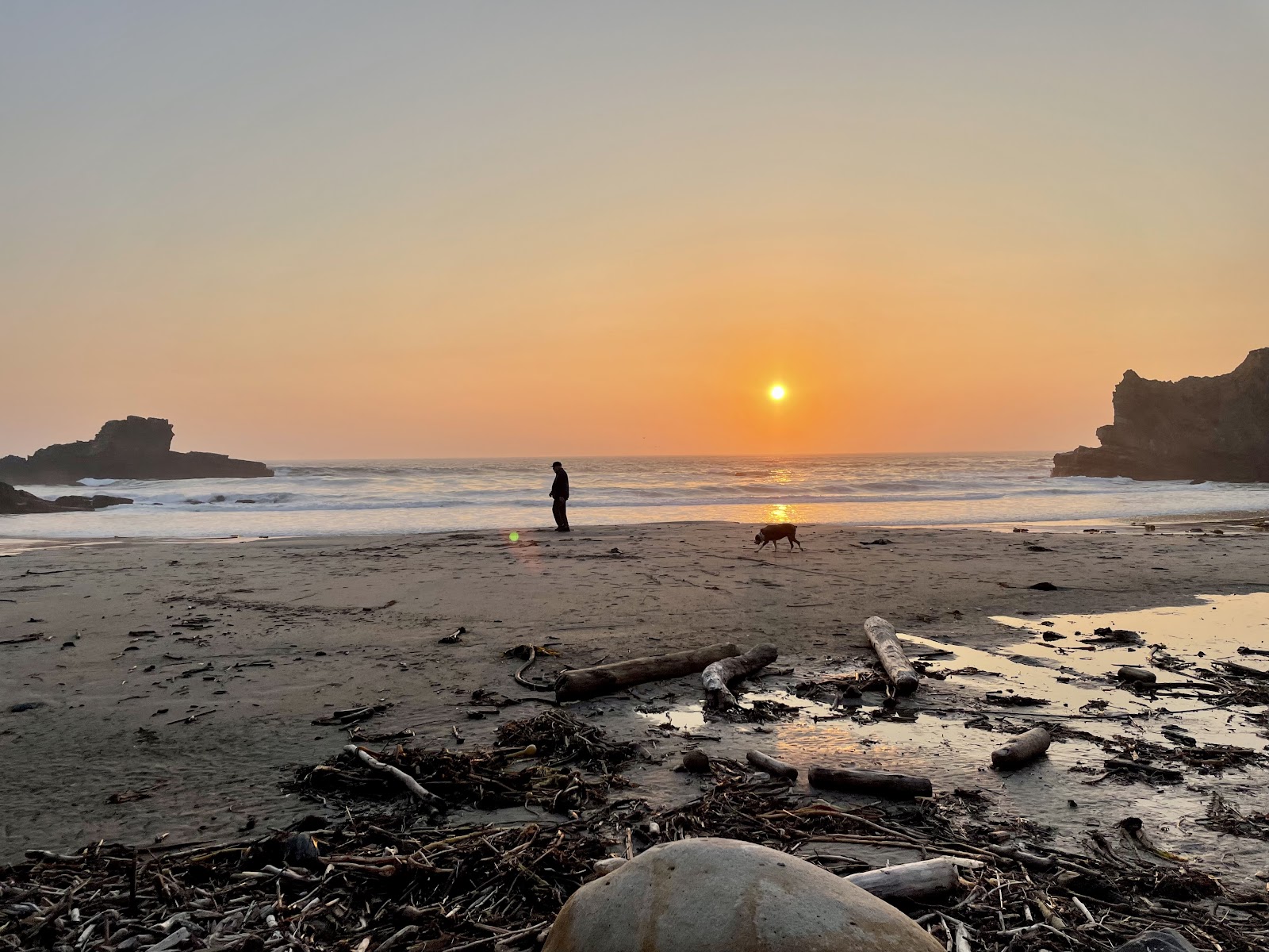 Cooks Beach