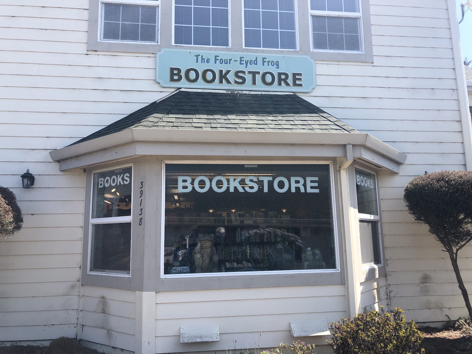 Four-Eyed Frog Books