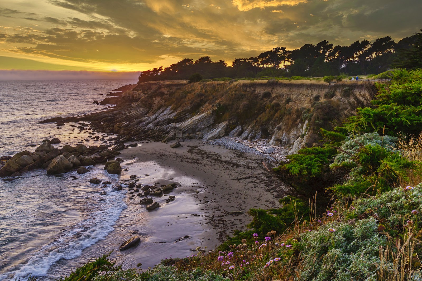 Gualala Point Regional Park